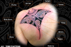 Raie_Manta_tatouage_epaule_dosS