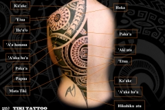 Tatouage_dos_femme_marquisienS