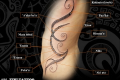 Tatouage_flanc_spiralesS
