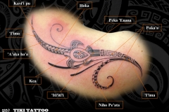 Tatouage_marquisien_epaule_dos_tortueS
