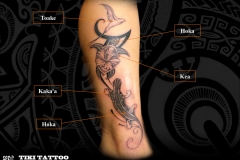 Tatouage_molet_oiseau_tortue_lezardS