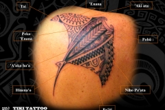 Tatouage_raie_mantaS