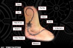 Tattoo-cheville-femme-polynesienS