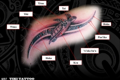 Tattoo_tortue_tiki_tattooS