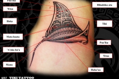 hanche-raie-mantaS