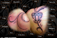 tattoo_epaule_tortueS
