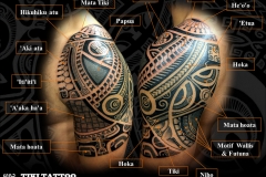 Epaule_tatouage_marquisienS