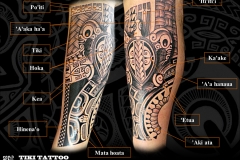 Molet-exterieur-tatouage-tortueS