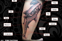 Tatouage_Requin_Marteau_TikiTattooS