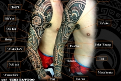 Tatouage_bras_entier_marquisienS