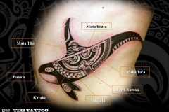 Tatouage_orque_marquisienS