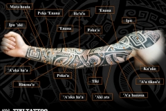 bras_entier_tatouage_marquisien2S