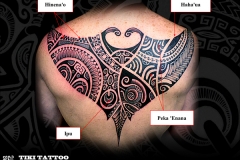 raie-manta-dosS3