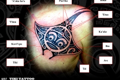 raie-manta-tattoo-pecS2