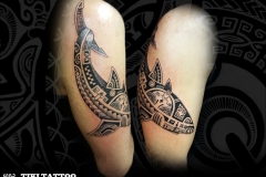 tatouage_requin_epaule_homme_tiki_tattoo