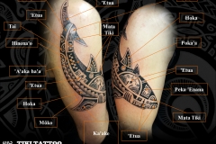 tatouage_requin_epaule_homme_tiki_tattooS