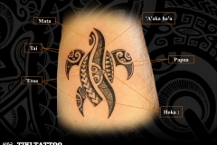 tatouage_tortue_avant_brasS